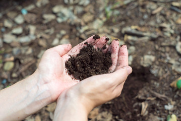 土を持つ女性の手