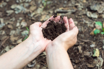 土を持つ女性の手
