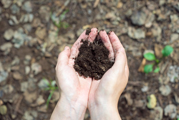 土を持つ女性の手