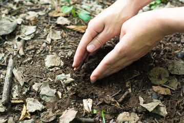 土を持つ女性の手