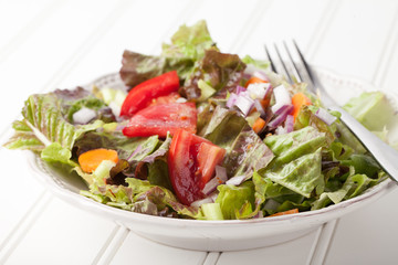 Fresh organic Italian house salad