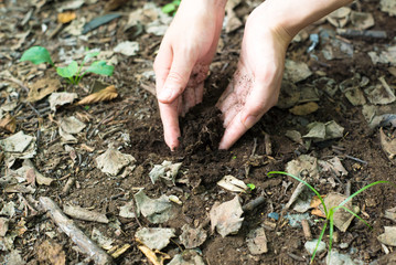 土を持つ女性の手