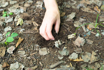 土を持つ女性の手