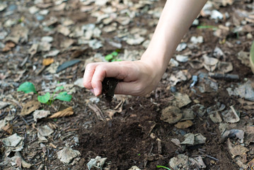 土を掴む女性の手