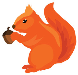 vector squirrel with acorn