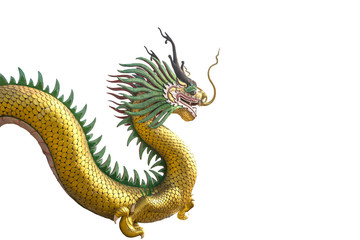Fototapeta premium Golden dragon statue on white background