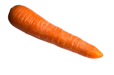 Carrots isolated on white background