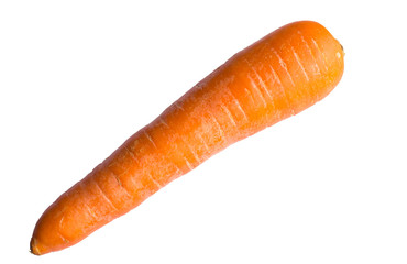 Carrots isolated on white background