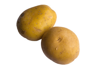 potato isolated on white background close up