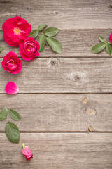 red rose on wooden background