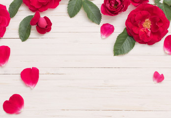 red rose on white wooden background
