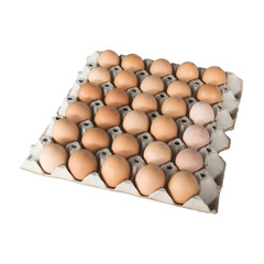 Chicken eggs in panel eggs isolated on white