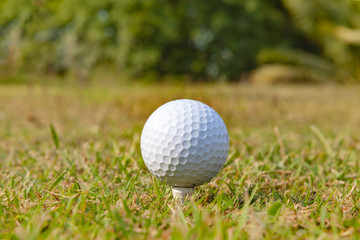 Golf ball