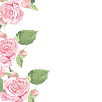Pink roses background painted by watercolor. Wedding design. Flower border for greeting card or invitation. Hand drawn illustration.