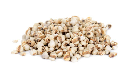 Millet rice , millet grains isolated on white background