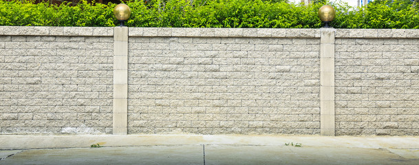 Brick wall and green leaf