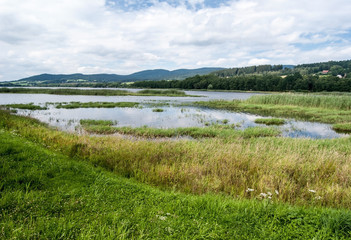 Fototapeta na wymiar Lipno water reservoir near Horni Plana in South Bohemia