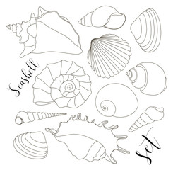 Set of isolated hand drawn seashell icons