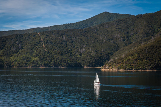 Marlborough Sounds seen from ferry from Wellington to Picton, New Zealand