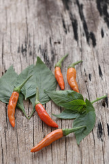 Fresh Thai pepper on wooden floor.