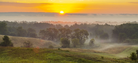 Piękny,mglisty wschód słońca nad wiejską łąką