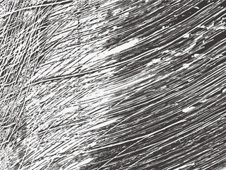 Grunge white and black background, texture.