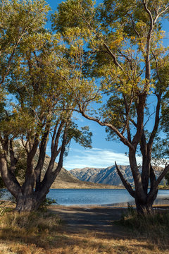 Lake Pearson / Moana Rua Wildlife Refuge located in Craigieburn Forest Park in Canterbury region, South Island of New Zealand