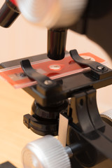 Fototapeta na wymiar microscope for kid to research the nature close up