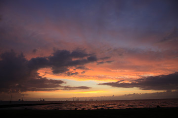 Muscheln bei Ebbe Nordsee