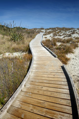 Wooden walkway by the beach at Tauparikaka Marine Reserve, Haast, New Zealand