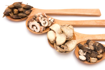 chinese herbs on wooden spoons at a white background
