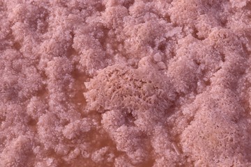 Pool of pink salt water for salt production.