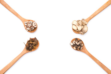 chinese herbs on wooden spoons at a white background