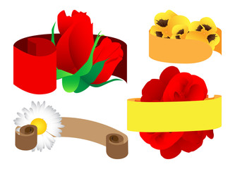 Flowers with ribbon for text on white background.