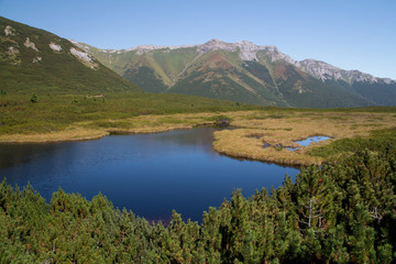 Fototapeta na wymiar mountain lake in high tatras summer landscape