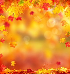 Naklejka na ściany i meble Abstract autumn background with copyspace