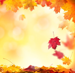 Naklejka na ściany i meble Abstract autumn background with copyspace