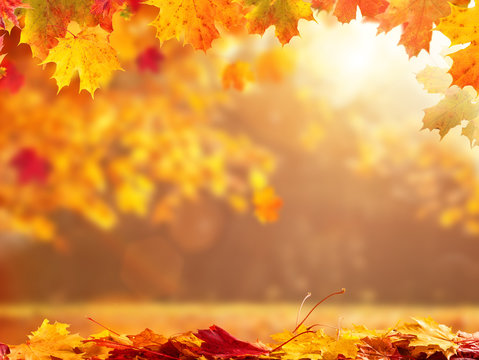 Abstract autumn background with copyspace
