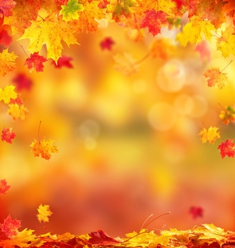 Abstract autumn background with copyspace