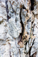 stone texture for a background.