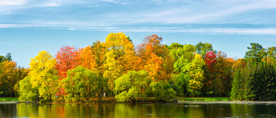feuilles d& 39 automne colorées sur les arbres dans le parc au coucher du soleil