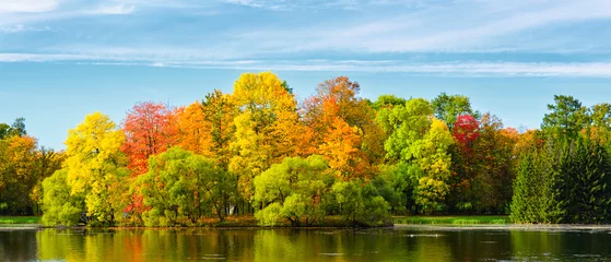 Crédence de cuisine en verre imprimé Automne feuilles d& 39 automne colorées sur les arbres dans le parc au coucher du soleil