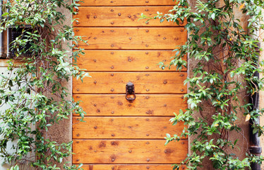 door knocker on a wooden door
