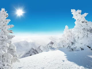 Crédence de cuisine en verre imprimé Hiver Beautiful winter landscape with trees