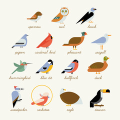 Naklejka premium Kolekcja ikon ptaków. Różne gatunki ptaków, takie jak: sowa, tukan, koliber, gil i więcej ptaków ilustracji wektorowych