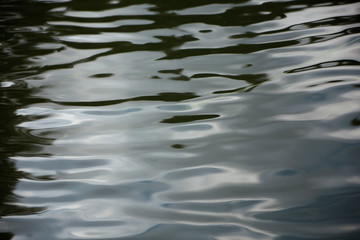 water surface