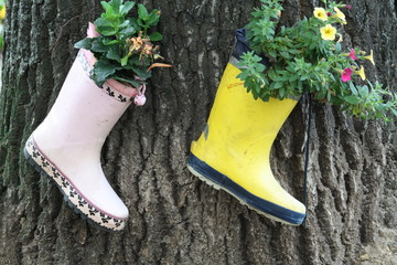 Stiefel,
