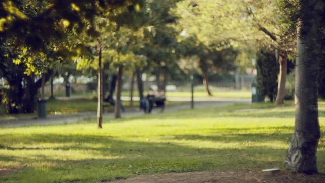 4K Urban,city public park during sunset.Oof,abstract,beautified
