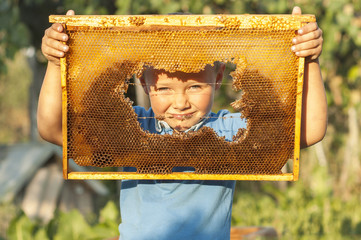 Smiling boy holding frame of honeycomb