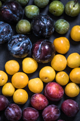 plums on dark background